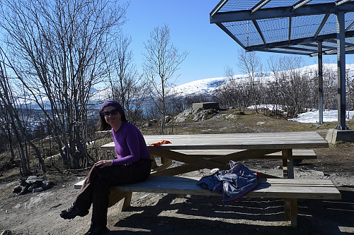 Sommerfornemmelser på Tromsøya