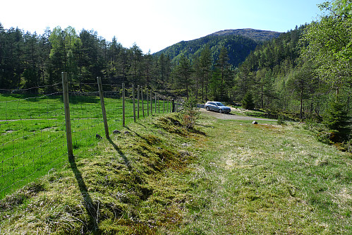 Skogsveien som starter ved parkeringen utenfor grinden