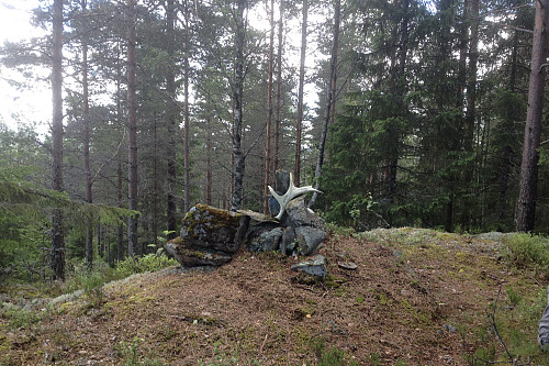 Varden in natura