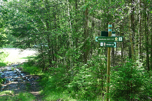 Stien til Marifjell starter ved P-plassen nær Vikkelihytta