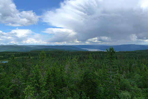 Utsikt fra tårnet ved Marifjellhytten