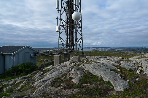 Mast og hus