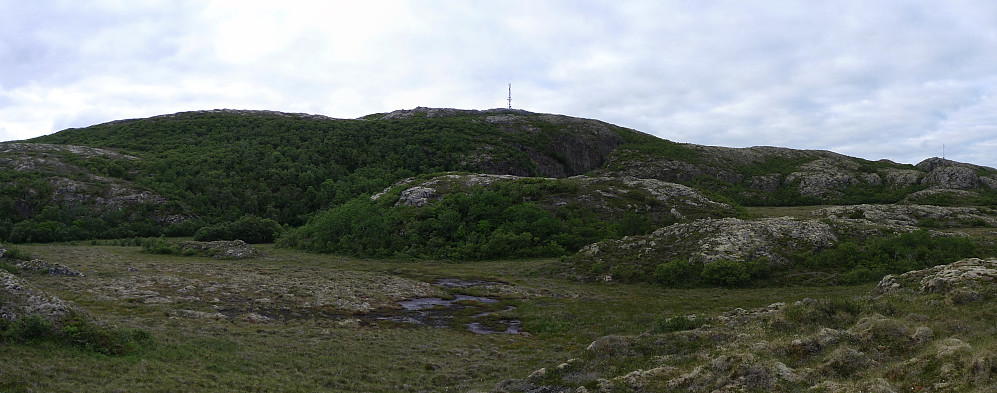 Vattafjellet på Ytter-Vikna. Vi gikk opp til høyre (øst) og ned til venstre(vest). Anbefalt rute sti går antagelig mot vest mer rett mot toppen