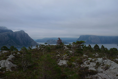 Topp-området på Hennøya