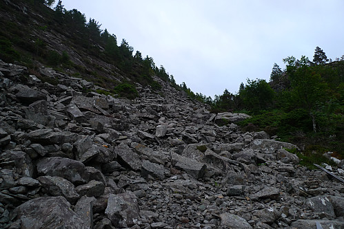 Steinuren i dalen vi gikk opp