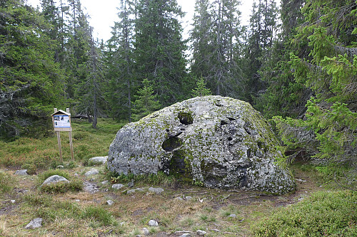 Torshovgråen -  en konglomeratstein som har vært på vandring