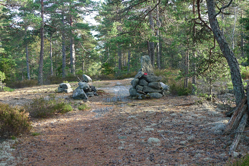 Vardene på Høgestang