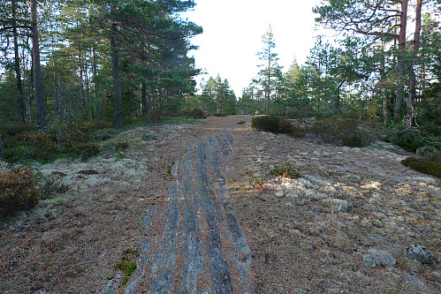 Lettgått terreng, mye på fint berg som her på bildet
