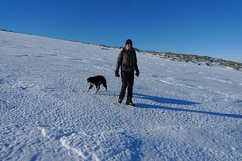 Stig og Fant nyter dagen på Ålfotbreen