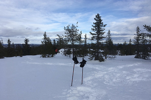 Toppområdet og høyeste "vinterpunkt" på Raskiftet 810 i Åmot