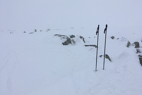 Liten steinvarde i nærheten av høyeste punkt på SØ for Himmelkampen