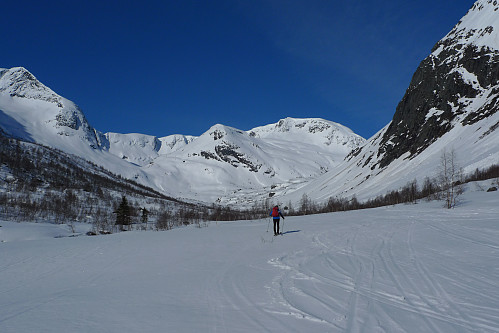 Bare helt nydelig innover i Frudalen