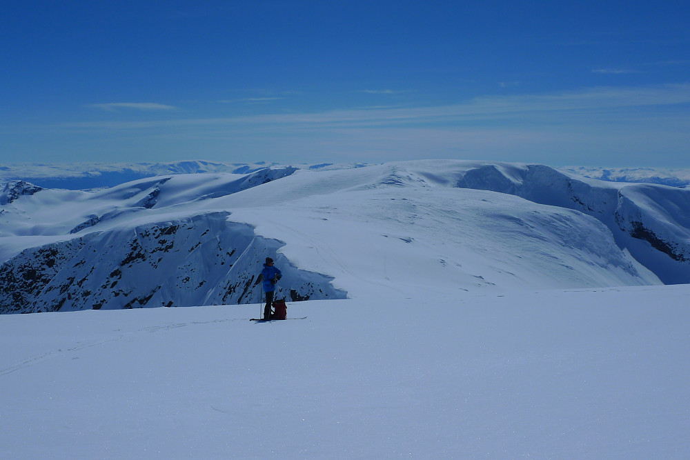 Fra sør på Bjåstadbreen sørover mot Skjerdingane Vest og Ryssebotnrana