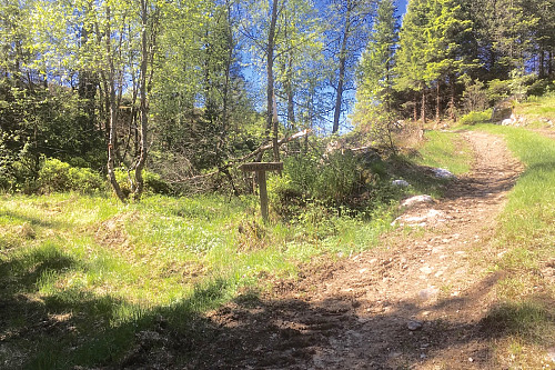Godt merket sti til Havsåsen