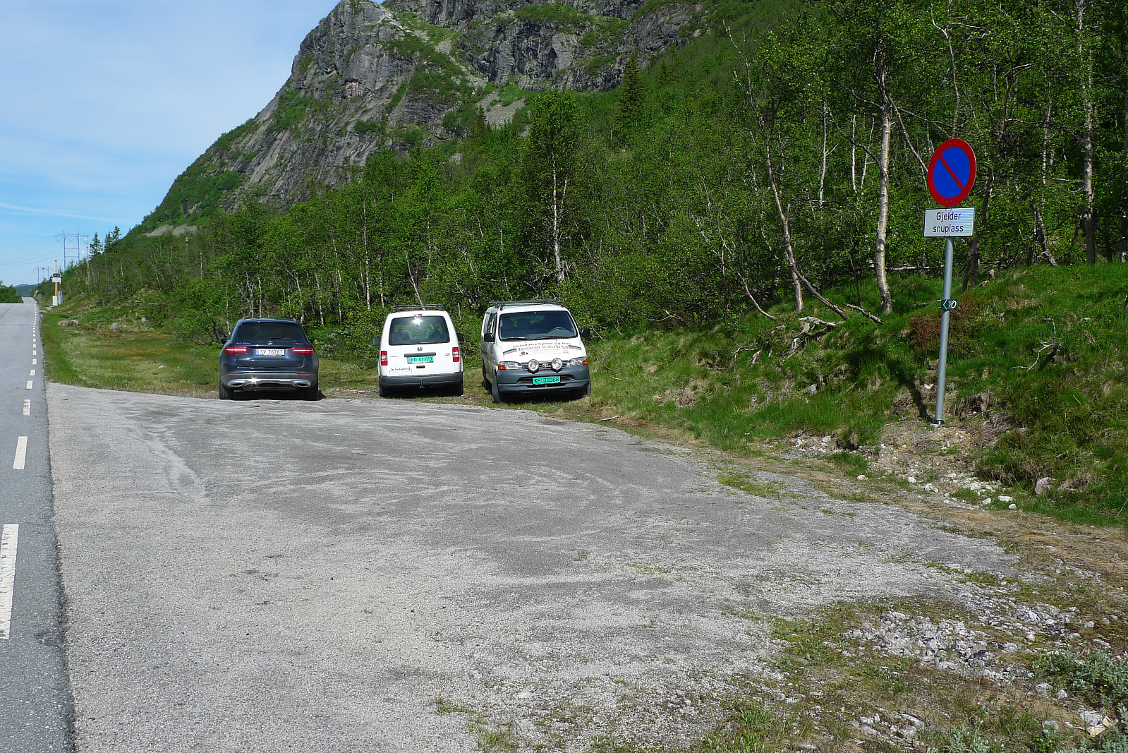 enslig i fyresdal