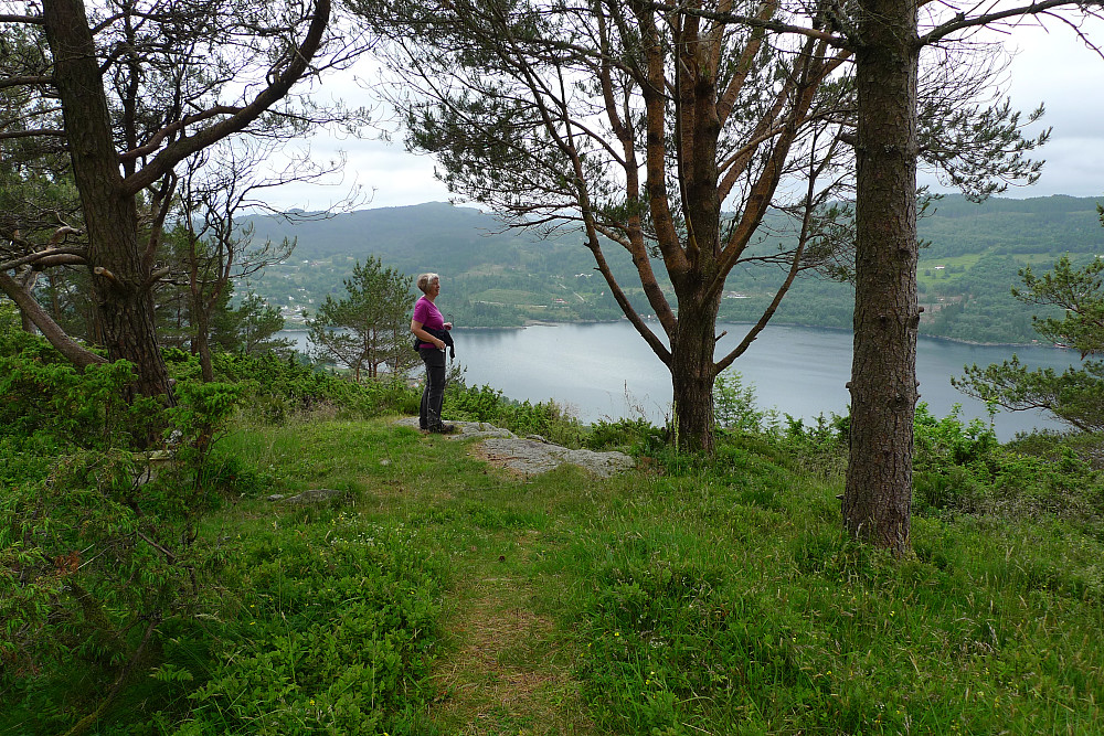Fin tur til og flott utsikt på Totlandsfjellet!