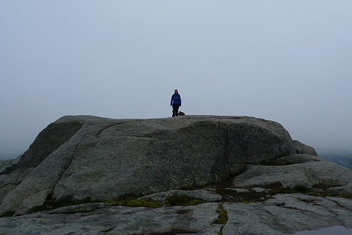 Astrid på minst like høy fjellknatt på Gjesdal-siden, 40 m NØ for varden