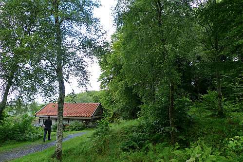 Vei og sti ned mot sjøen fører inn i bøkeskogen