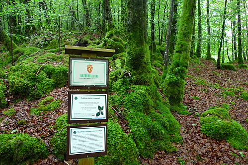 Naturvernområde