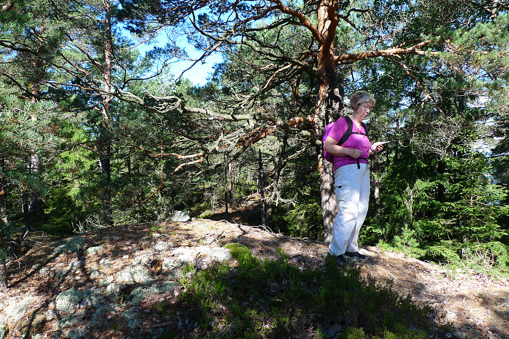 Astrid ved høyeste knaus på Langøybratten. Liten, hvit stein på berget til venstre