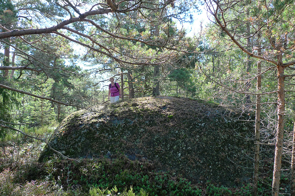 Vi gikk så bort til en annen knaus ca 30 m lenger nord med omtrent samme høyde. GPS her 530387 6530372