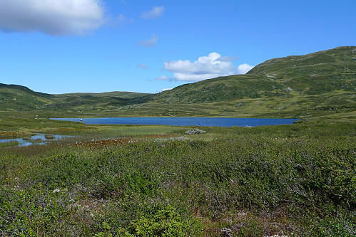 Grotvatni nedenfor Grotvassbu. Her sto det folk og fisket