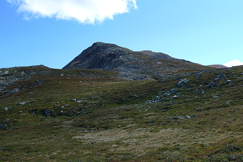 Fra 1300 m platået mot Brattefjell
