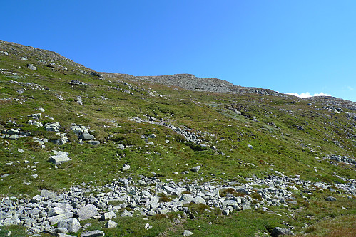 Terrenget opp mot høydedraget på 1300 m vest for selve toppen