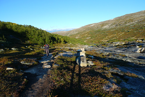 Over skoggrensen, ser tilbake nedover Puttbudalen