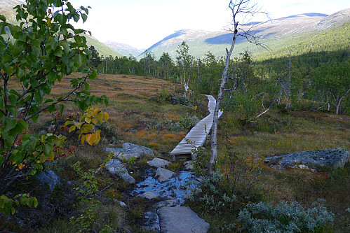 Meget godt tilrettelagt sti mot Pyttbua