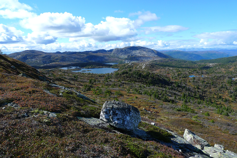 Flott, åpent terreng over 1000 moh. Roan i bakgrunnen