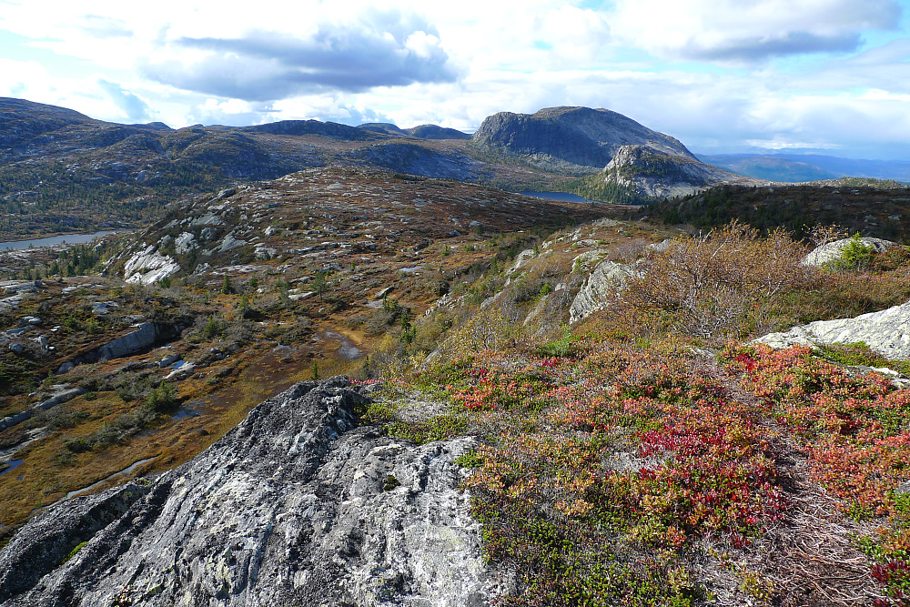 God sti og flott området på ryggen vest for Svanestøyl. Roan i bakgrunnen