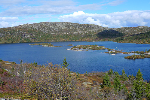 Røyningsvatnet med Røyningvassristi 1117 moh i bakgrunnen