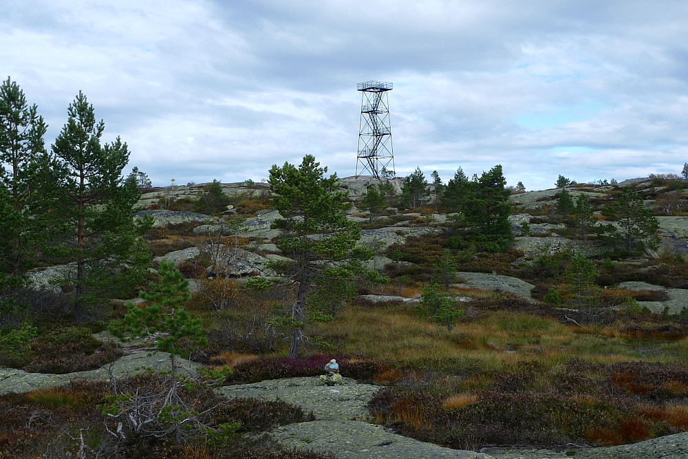 Tårnet på Solhomfjell i Nissedal