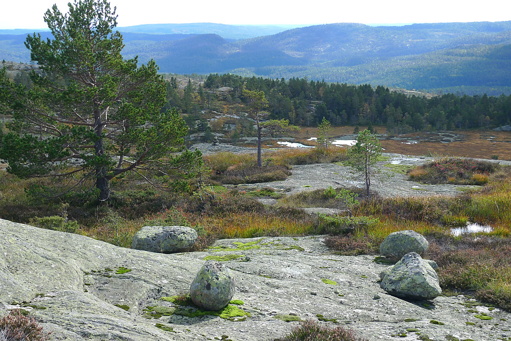 Høyeste punkt i Gjerstad sett fra litt ovenfor ny varde som skimtes litt til venstre for midten av bildet