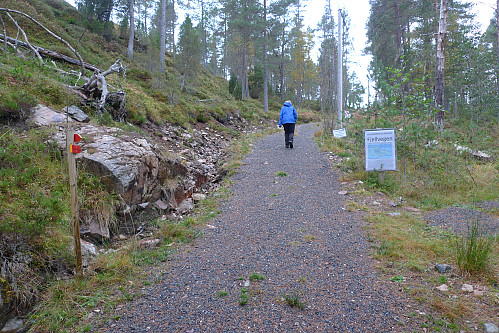 Fjellvegen - godt skiltet grusvei for folk, men ikke for hester!