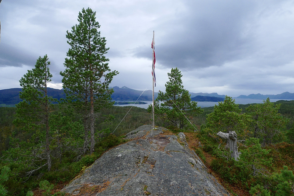 Topp-området på Tranhaugen
