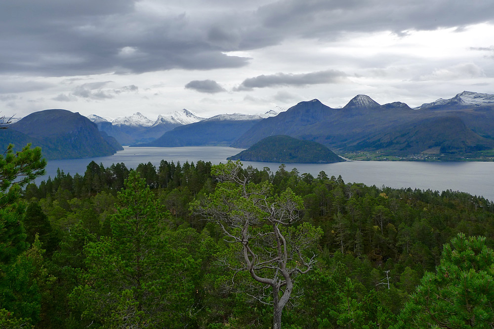 Utsikt mot flotte Romsdalsfjell. 
Navnsatt 24.10 2017 av Jan Arne Nygaard (Janyga): Fra venstre: Oksen (Kvitfjellet), Storgrovfjellet (Grisetskolten rett foran Storgrovfjellet), Karitind/Dronninga/Kongen, Finnan, Skarven (Gråfonnsfjellet/Smørbottstinden skimtes bak Skarven), Skjervan, Blåstolen, Trollstolen (Middagstind skimtes mellom Blåstolen og Trollstolen), Stolaksla, Grøntind og Prosten. Foran Blåstolen: Lundsfjellet
