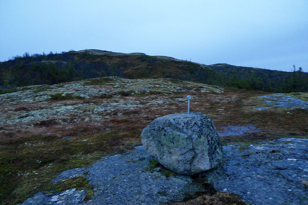 Uskarpt kveldsbilde av høyeste punkt i Malvik kommune