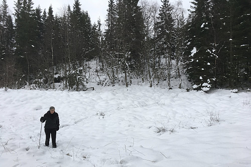 Over et gjorde mot et utmarksgjerde ...