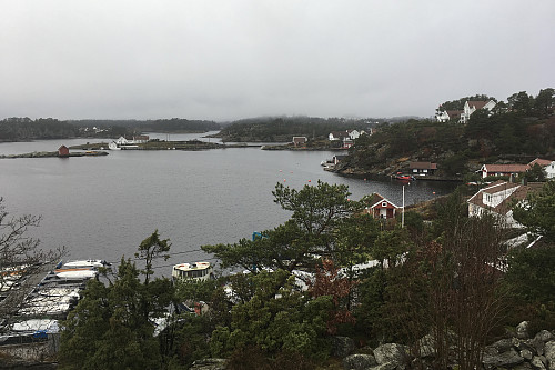 Utsikt innover fjorden fra Tømmerstø