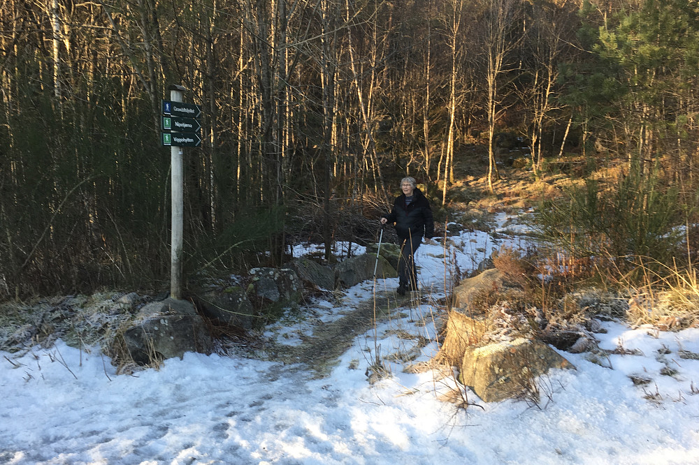 Stistart i Vestlundveien mot Våpensteinen