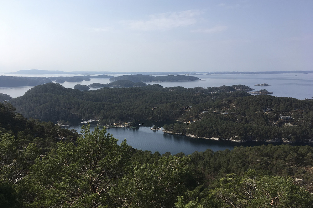 Mot SSV - Balandsneset