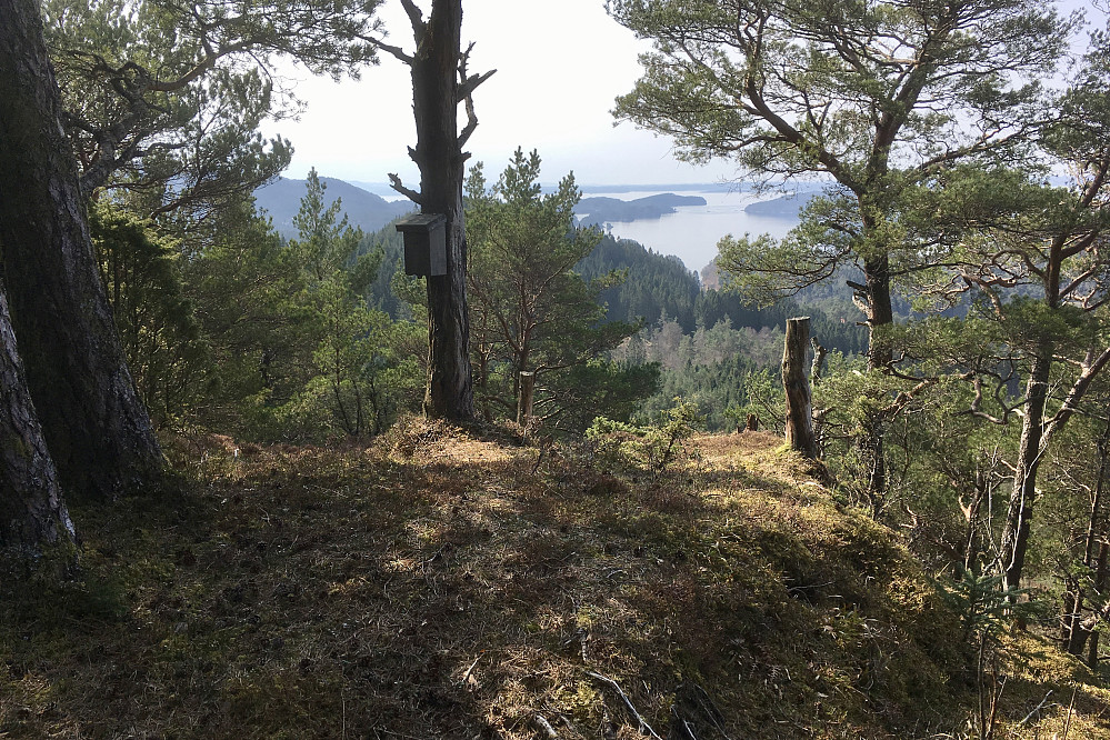 Turkassen og utsiktspunktet på Fjærhovda
