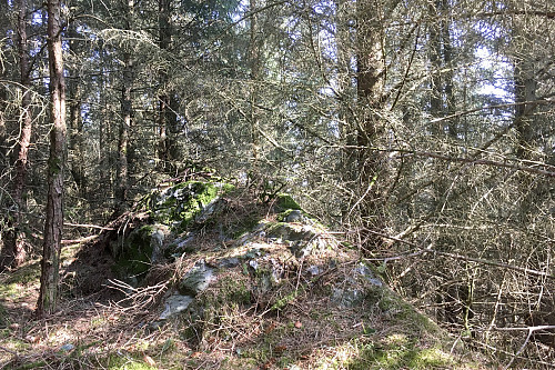 Fjellknausen som er mulig toppkandidat