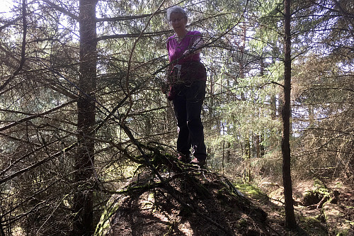 Astrid på steinknausen nord for turkassen