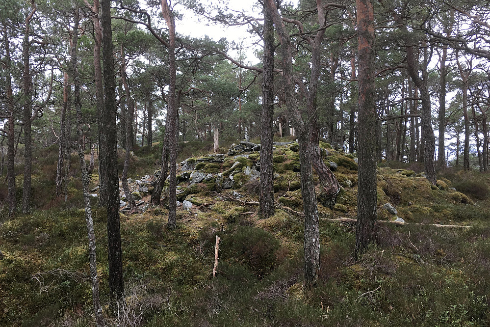 Gravhaugen på Stordalsåsen nær Halhjem