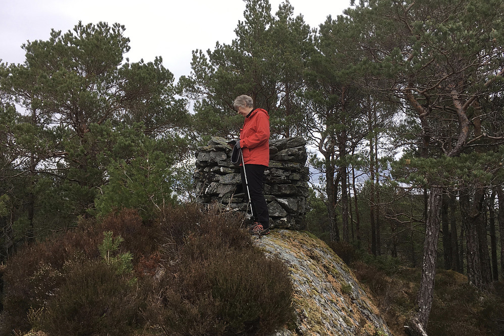 Astrid på toppen av Vassliåsen
