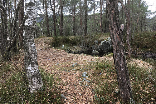 Topp-området med gammel brønn?