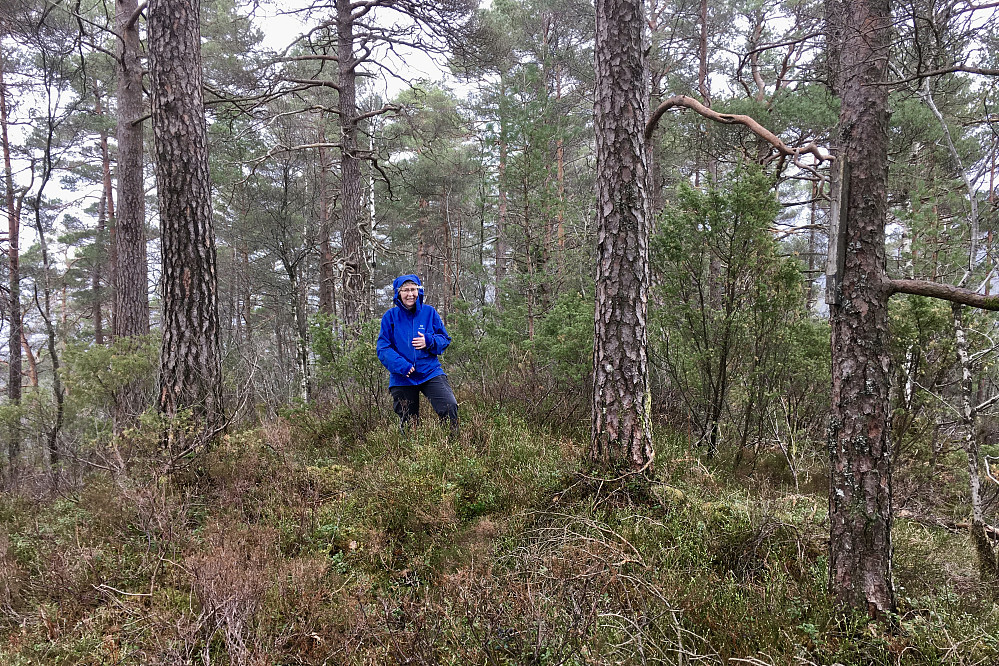 Astrid på skogsåsen Galtåsen i Os